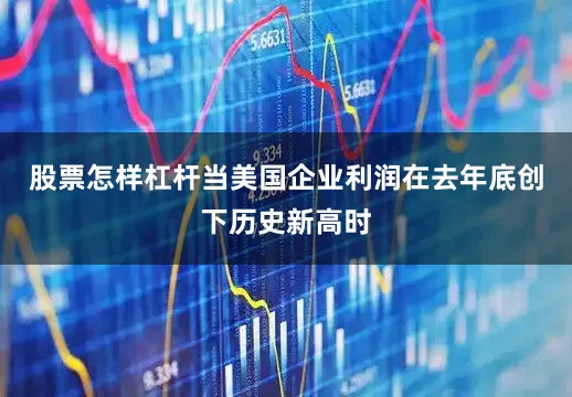股票怎样杠杆当美国企业利润在去年底创下历史新高时