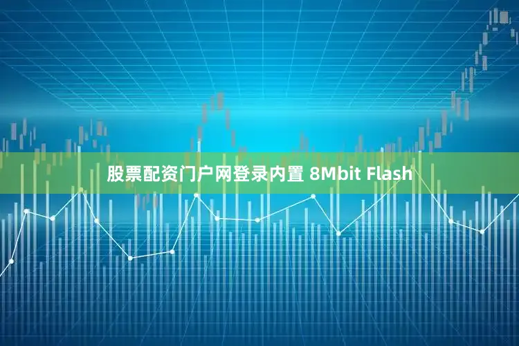 股票配资门户网登录内置 8Mbit Flash