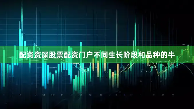 配资资深股票配资门户不同生长阶段和品种的牛